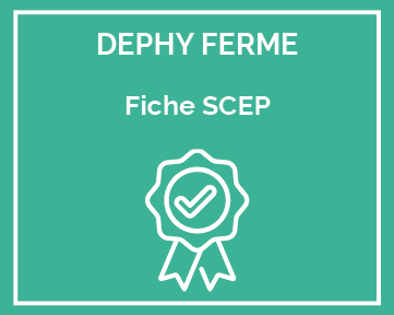 fiches scep