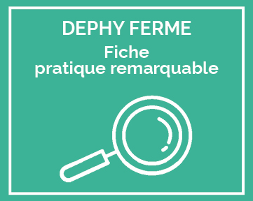 pratique remarquable